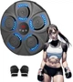Электрическая мишень для бокса с перчатками EnergyFIT EF22 - изображение 1