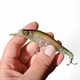 Воблер Megabass X-80 Trick Darter, MAT SHINKO, б/в - изображение 4