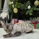 Теплая кофта для котов и кошек новогодняя Style Pets HNY (0022br) M - изображение 1