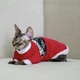Кофта с рукавом для кота/кошки Style Pets long (red139) L - изображение 2