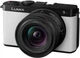 Цифрова фотокамера Panasonic Lumix S DC-S9NE-W Smokey White Kit 18-40mm f/4.5-6.3 - изображение 2