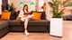 Osuszacz powietrza Cecotec BigDry 10000 Expert Connected - obraz 6