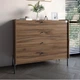 Комод с 4 ящиками LION Wood с черными ножками 100х90х45 см Дуб Ливорно (LION-042979) - изображение 1