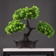 Искусственная композиция Бонсай Сосновое Дерево в горшке Pine Bonsai Зеленый 32×27 см - изображение 1