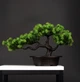 Штучна композиція Бонсай Соснове Дерево у горщику Pine Bonsai Зелений 36×22 см - зображення 1