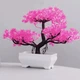 Искусственный бонсай сакуры в горшке Pink Cherry Bonsai Розовый 26x19 см - изображение 1