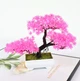 Искусственный бонсай сакуры в горшке Pink Cherry Bonsai Розовый 26x19 см - изображение 7