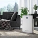 Очищувач повітря Olimpia Splendid Aura Di (OS-99426) - изображение 5