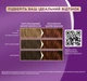Краска для волос Palette R-4 (5-68) Каштан 110 мл (3838905551696) - изображение 5