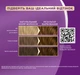 Краска для волос Palette W5 (6-65) Золотистый грильяж 110 мл (3838824188928) - изображение 4