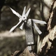 Мультитул NexTool Pocket Tool E1 (NE20287) - изображение 2