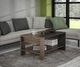 Журнальный стол Frisco TRASS 900x425x552 мм Дуб болотный/Дуб черный - изображение 3