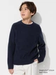 Подростковый вязаный свитер для мальчика Uniqlo 167502688 140 см Синий (1159829199) - изображение 1