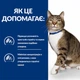 Лікувальний сухий корм Hill's PD Feline S/D 3 кг (605897) - зображення 4