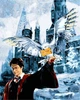Картина по номерам 40х50 см Babylon Гарри Поттер и Букля (VP 1118) - изображение 1