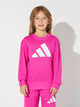 Детский спортивный костюм (свитшот + штаны) Adidas Lk Bl Ft Jog JC9728 104-110 см Малиновый (4067905979400) - изображение 3