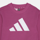Детский спортивный костюм (свитшот + штаны) Adidas Lk Bl Ft Jog JC9728 104-110 см Малиновый (4067905979400) - изображение 9