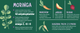Сухий корм для собак Comfy Appetit Vita Superfood Pappy All Breeds Lamb 12 кг (5905546342148) - зображення 8