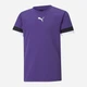 Дитяча футболка для хлопчика Puma Teamrise Jersey Jr 70493810 134-140 см Фіолетова (4063699210972) - зображення 1