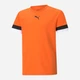 Підліткова футболка для хлопчика Puma Teamrise Jersey Jr 70493808 158-164 см Помаранчева (4063699210200) - зображення 1