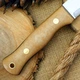 Накладки RICHLITE Maple Valley (старая кость) 130х40х6мм (пара) - изображение 3