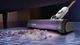 Аккумуляторный пылесос Shark with Auto Empty System IW3612EUT - изображение 9