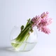 Ваза-аквариум Pasabahce Шар Botanica h-16 см 45068 - изображение 1