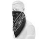 Бандана хлопковая Sturm Mil-Tec Western Bandana Black - изображение 1