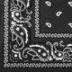 Бандана хлопковая Sturm Mil-Tec Western Bandana Black - изображение 3