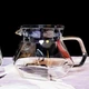 Сервер для кофе Brewista X Series Rainbow, 400 мл - изображение 5