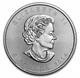 Туба монет Royal Canadian Mint Канадский Кленовый лист 1 унція 25 монет - изображение 3