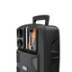 Акустика-караоке HOCO Dancer outdoor wireless speaker BS37, 3Hours, BT5.0, TWS, AUX, FM, USB, black - зображення 5