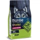 Корм Monge BWild Low Grain All Breeds Cinghiale сухий з м'ясом дикого кабана для дорослих собак усіх порід 15 кг - зображення 1