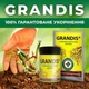 Укорінювач GRANDIS/ Грандіс ефективний на саджанціх, квітах, овочах 100 г Кіссон - зображення 2