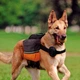 Жилет для собак Ferplast Dog Scout 30х6х25 см із кишенями (85726099) - зображення 3