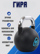 Гиря сталева пофарбована із хромованою ручкою LiveUp LP8042-20 20кг (чорний) - зображення 2