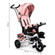 Rowerek trójkołowy EcoToys Delux 360° JM-068-17 Różowy (5903089068464) - obraz 14