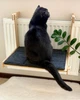Гамак для кота на батарею деревянных с мягким матрасом с регулировкой до 30 кг 46х34х35 см (fd002) - изображение 7