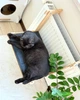 Гамак для кота на батарею деревянных с мягким матрасом с регулировкой до 30 кг 46х34х35 см (fd002) - изображение 10