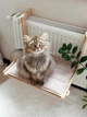 Гамак для кота на батарею дерев’яний з м’яким матрасом регульований до 30 кг 46х34х35 см (fd001) - зображення 11