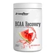 Аминокислота BCAA для спорта IronFlex BCAA Recovery 500 g /87 servings/ Watermelon - изображение 1