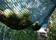 Сітка Клевер для затемнення 45% 2м х15м захисна - зображення 9