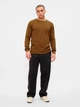 Свитшот мужской GAP M, Palomino Brown (Коричневый) 500127321809 - изображение 3