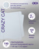 Набор предметных тетрадей ZiBi Crazy Cat 48 листов в клетку 8 предметов 10 шт (ZB.1703-99) - изображение 4