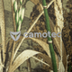 Лонгслів Camotec Chiton Air Hood Cane 5 Мультиколір 3XL (7573(3XL)) - изображение 9