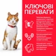 Сухой корм Hill's SP Feline Adult Sterilised Cat With Chicken 1,5 кг (607655) - изображение 3