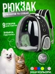 Прозрачный рюкзак для переноски Pet Cat PC-42 кошек и собак 42 см х 32 х 28 см Черный (JDT-0847523) - изображение 2