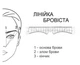 Линейка для разметки бровей прямая Zola - изображение 3