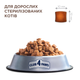 Сухой корм для стерилизованных котов Club 4 Paws Sterilized с курицей 2 кг B4640711 - изображение 2