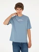 Футболка хлопковая длинная мужская U.S. Polo Assn G081SZ011-000-2006915(indigo) M Индиго (8683857762066) - изображение 4